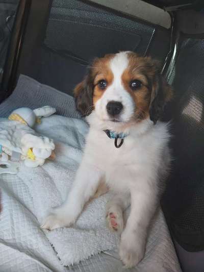 Sie werden so schnell groß!-Beitrag-Bild