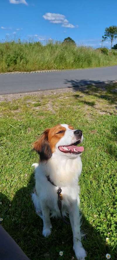 Das beste grinsefoto-Beitrag-Bild