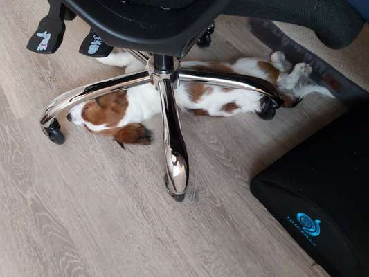 4. Lustiger Schlafplatz-Beitrag-Bild