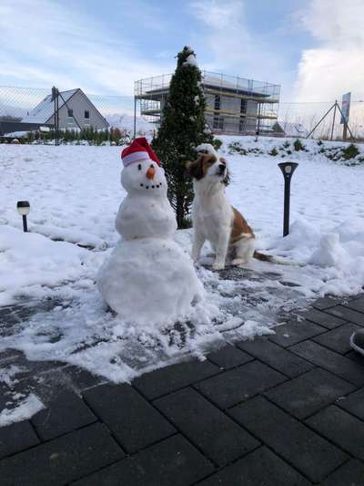 1. Fotochallenge Collagen - 4 Jahreszeiten-Beitrag-Bild