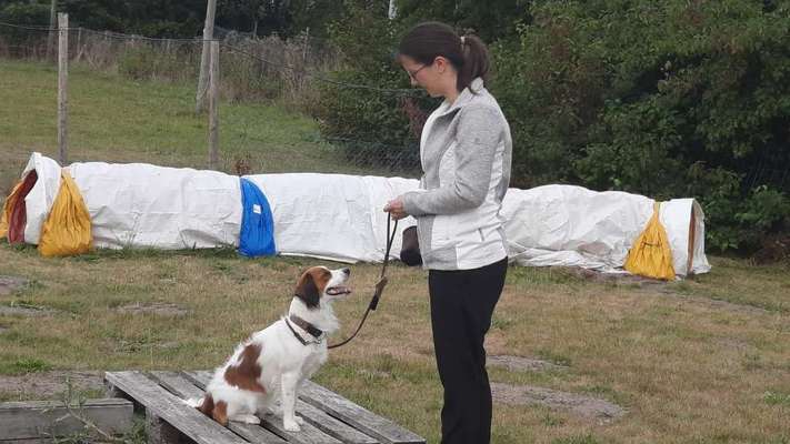 14. Handyfoto-Challenge: "BUDDY-Builder"-Beitrag-Bild