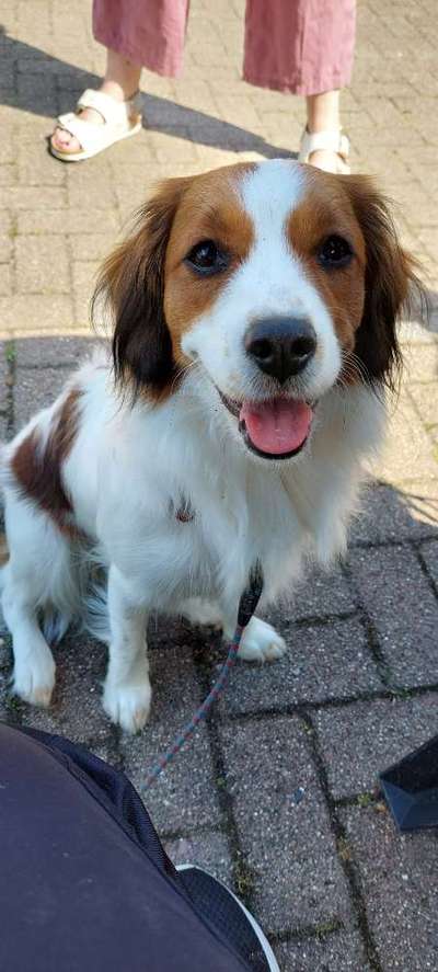 Sie werden so schnell groß!-Beitrag-Bild