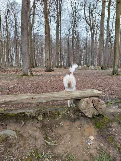 Un...scharf Bilder-Beitrag-Bild