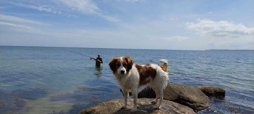 Theos Fotochallange Nummer 4-Beitrag-Bild