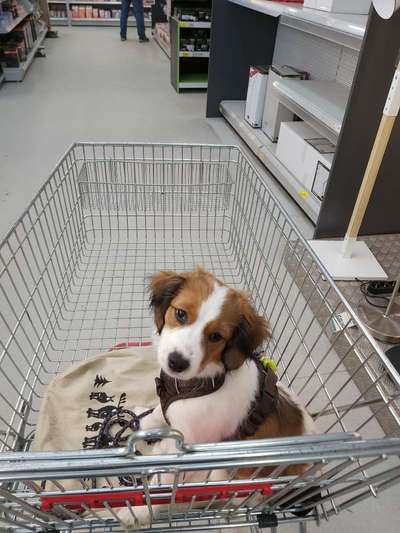 121. Fotochallenge-Beitrag-Bild