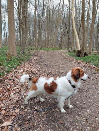 3. Ein besonderes Merkmal-Beitrag-Bild