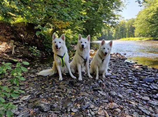 Handy-Foto-Challange Nr. 8-Beitrag-Bild