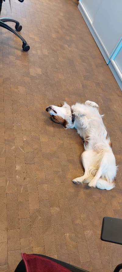 Foto Challenge Nr. 134-Beitrag-Bild