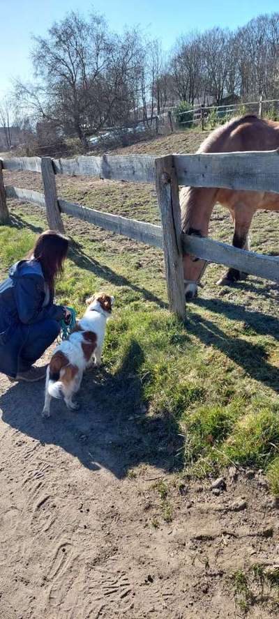 Handy-Foto-Challange Nr. 8-Beitrag-Bild