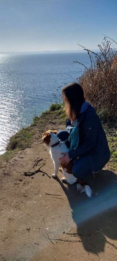 Dogorama Photo Challenge - schönster Gassiausblick-Beitrag-Bild