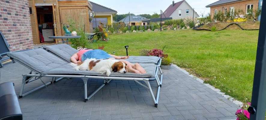 FOTO-Challenge  NR. 91: Die pure Entspannung-Beitrag-Bild