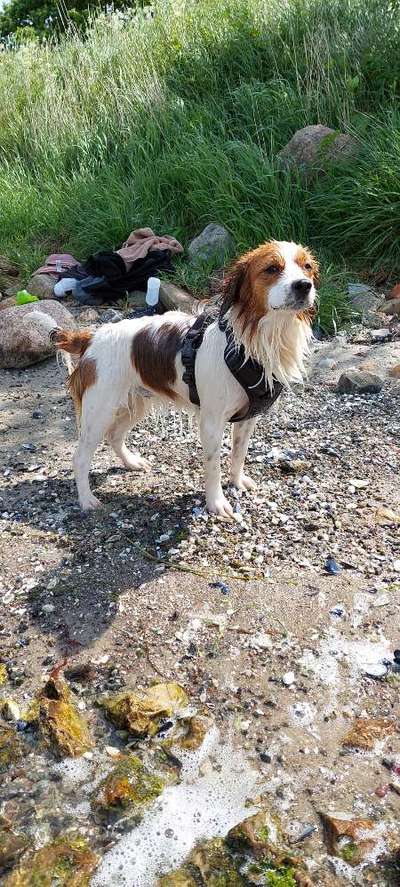 Der Gewichts-Thread-Beitrag-Bild