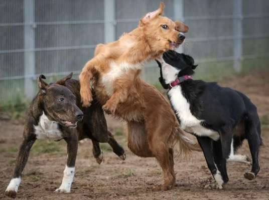 Handy-Foto-Challange Nr. 8-Beitrag-Bild