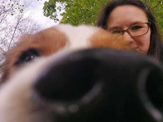 Zeigt mir die tollste Nahaufnahme von eurer Fellnase-Beitrag-Bild