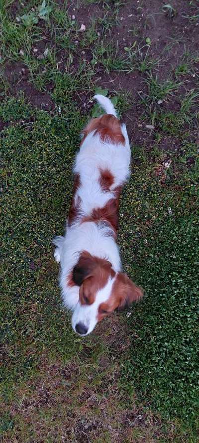 Der Gewichts-Thread-Beitrag-Bild