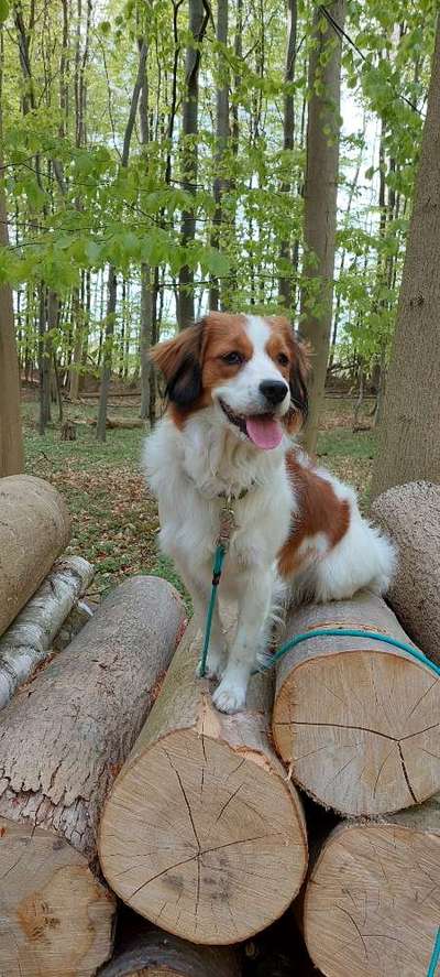 Theos Fotochallenge Nr. 3-Beitrag-Bild