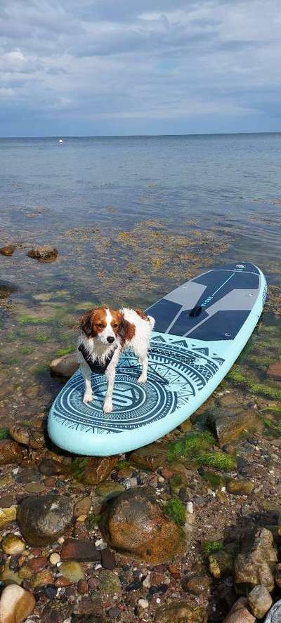 1. Fotochallenge Collagen - 4 Jahreszeiten-Beitrag-Bild