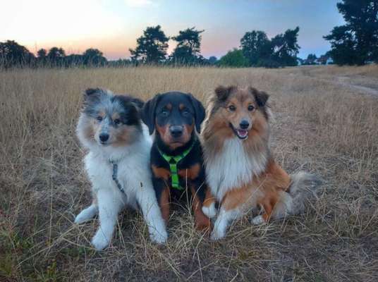 Handy-Foto-Challange Nr. 8-Beitrag-Bild