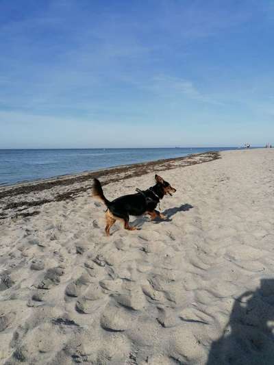 Fotochallenge Nr 50 Vom Winde verweht-Beitrag-Bild