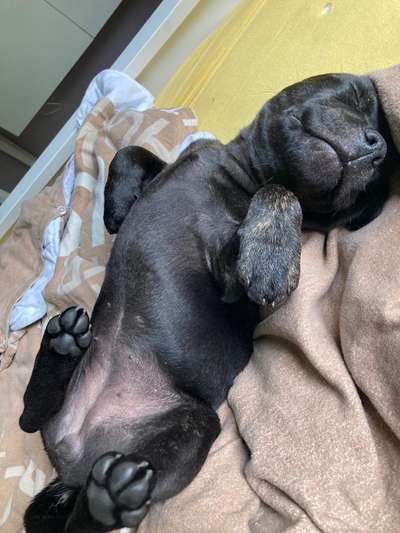 Fotochallenge Nr.65-Beitrag-Bild