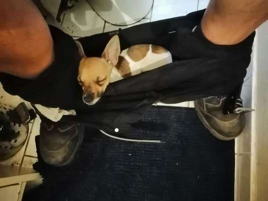 Die unbequemsten und lustigsten Schlafpositionen-Beitrag-Bild