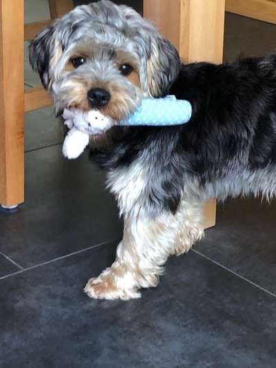 Fotochallenge Nr. 62 Romantische Momente-Beitrag-Bild