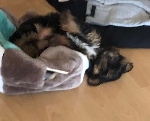 Foto Challange Nr.80-Beitrag-Bild