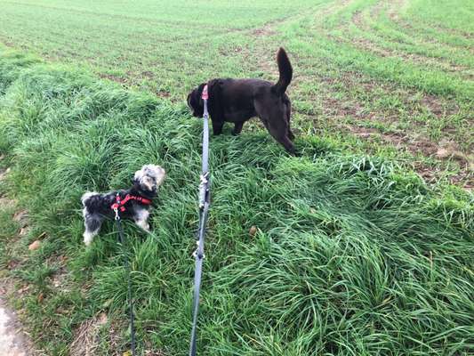 Fotochallenge 69-Beitrag-Bild