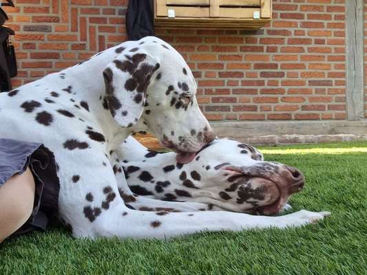 Häufige Vorurteile-Beitrag-Bild