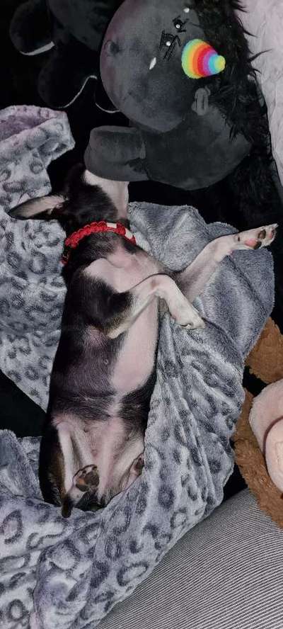 Foto Challenge Nr. 134-Beitrag-Bild