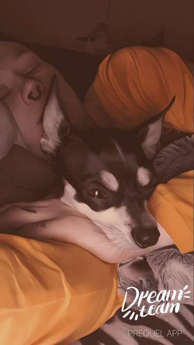 22. Collagen Challenge- Lebensfreude-Beitrag-Bild