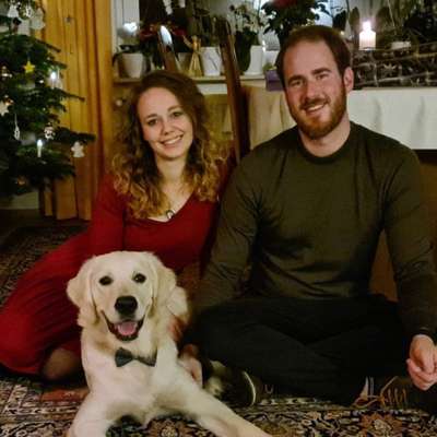 Hundetreffen-Treffen