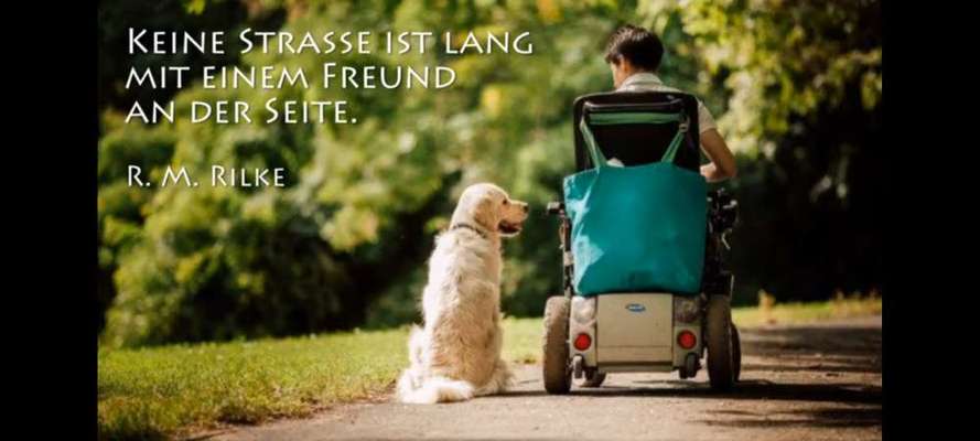 Hundetreffen-Hundehalter mit Handicap-Bild