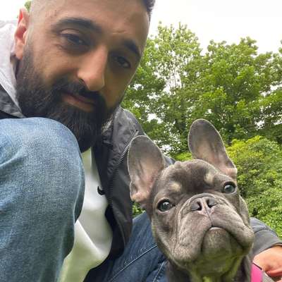 Hundetreffen-Sehr liebe und verspielte Franchie sucht sehr verspielten Freund zum spielen-Profilbild