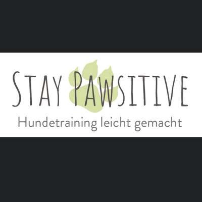 Hundeschulen-Stay Pawsitive-Bild