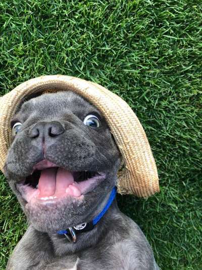 Challenge Nr. 10: "Das schönste Lächeln"-Beitrag-Bild