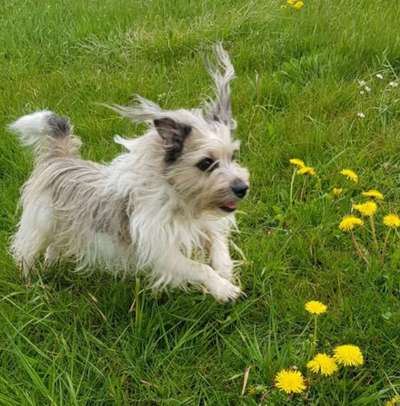 Fotochallenge 78

Es grünt und blüht-Beitrag-Bild