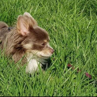 Fotochallenge 78

Es grünt und blüht-Beitrag-Bild