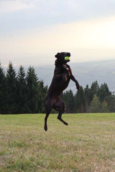 65. Handy Foto Challange                     "Ich kann nicht ohne..."-Beitrag-Bild