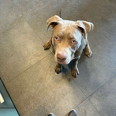 Stephanie's Profilbild