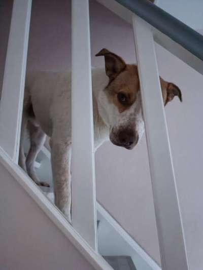 21. Handy-Foto-Challenge-Beitrag-Bild