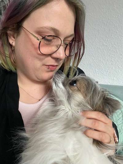 Hundetreffen-Kleiner Hundekumpel in Wilhelmshaven gesucht-Bild