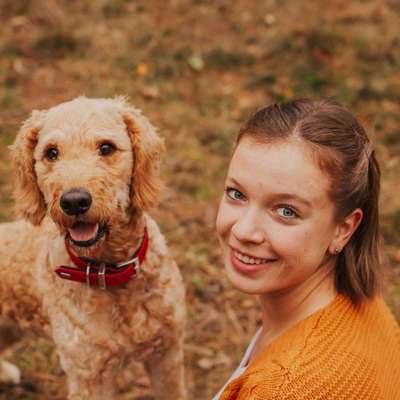 Hundeschulen-Mindful Souls Dogs - Lena Standke-Bild