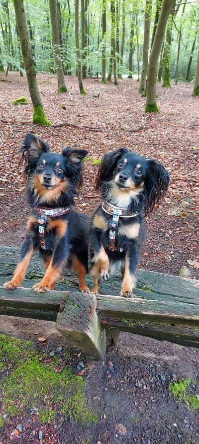 Fotochallenge Nr. 67: Euer Lieblingsbild-Beitrag-Bild