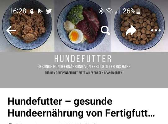 Nassfutter alles wichtige drin?-Beitrag-Bild