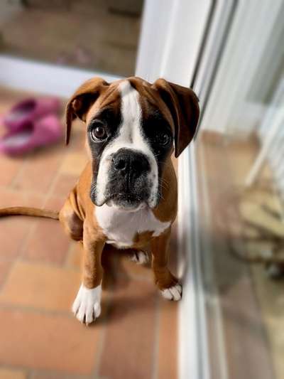 Lieblingsbild-Beitrag-Bild