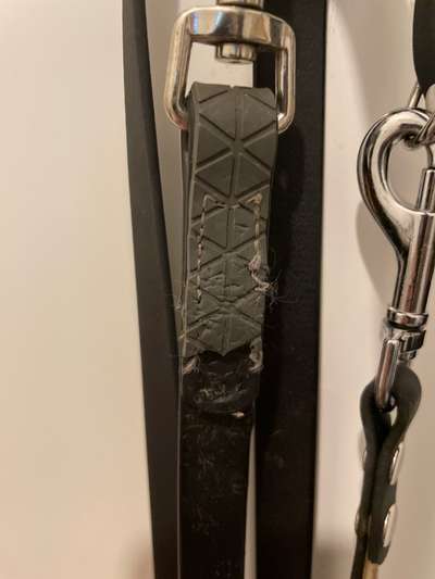 Biothane Schleppleine Pro & Contra-Beitrag-Bild