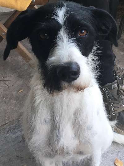 Fotochallange Nr. 57     PORTRÄT.   Beendet!!!!!!!!-Beitrag-Bild