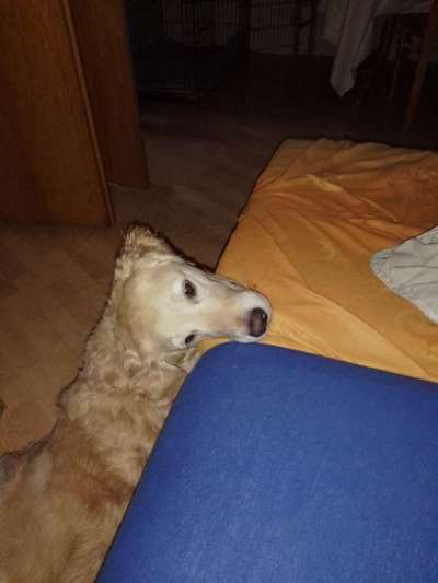 Fotochallenge Nr. 67: Euer Lieblingsbild-Beitrag-Bild