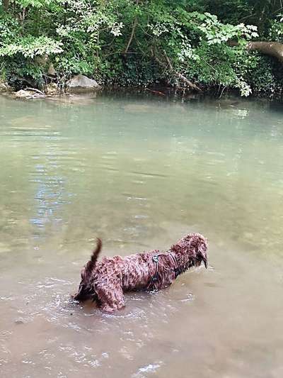 Fotochallenge Nr. 94 It's summer time-Beitrag-Bild